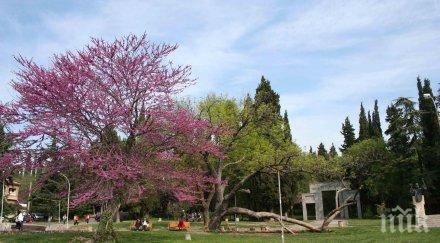 стара загора добрият град живеене 2016