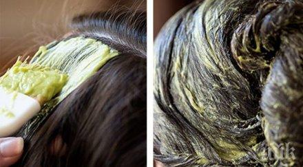 полезно придайте блясък косата авокадо
