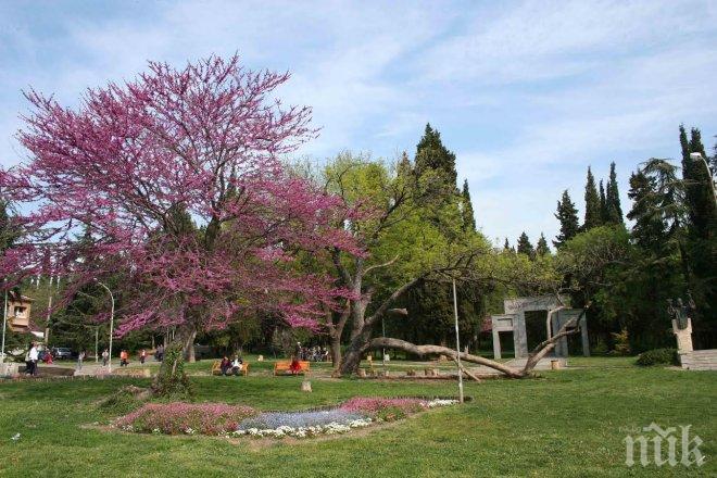 Стара Загора е най-добрият град за живеене за 2016 г.