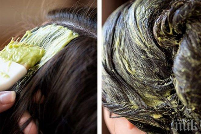 Полезно: Придайте блясък на косата си с авокадо