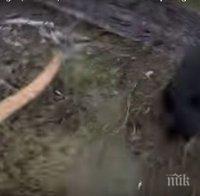 Робин Худ!  Канадец опитал да прогони мечка с лък и стрели (ВИДЕО)