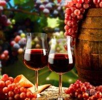България приема за първи път световен конгрес по лозарство и винарство