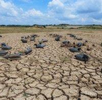 Предсказание! До 15-години суша в Испания и Португалия до края на века