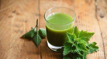 съвети килера копривата лекува анемията сваля захарта