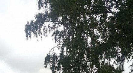 екшън кран извадиха таксито полетя река янтра снимка