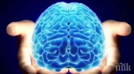 брейнсторминг проверете сте умни