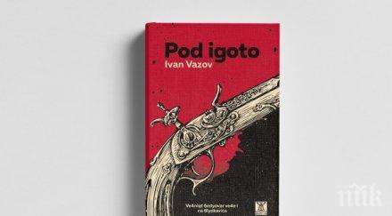 индиготоpod igoto
