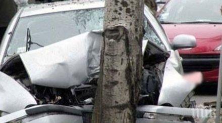 годишен бере душа зверска катастрофа търговище