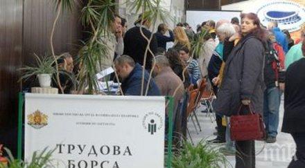 португалска фирма търси души българия берат малини