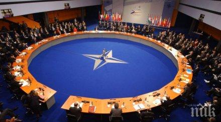 попълнение грузия става член нато