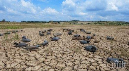 предсказание години суша испания португалия края века