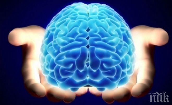 Брейнсторминг! Проверете колко сте умни