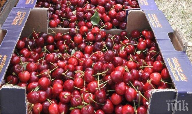 Най-накрая! Ягодите и черешите паднаха под 3 лева за килограм