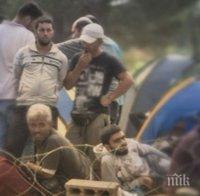 Австрийските власти върнаха 17 афганистански бежанци в родината им