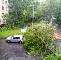 Предупреждение! Синоптиците не изключват нови ураганни ветрове в Москва днес