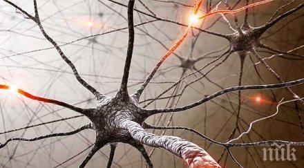 стресът води множествена склероза болестта засяга предимно млади хора