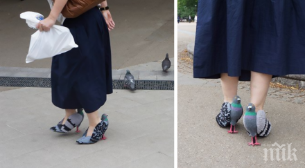хората ужасяват виждайки жена разхожда гълъбови обувки