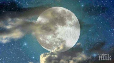 руснак изби рибата открих град луната