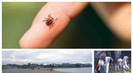 концесионерите плажа арапя официално изявление кърлежите снимки