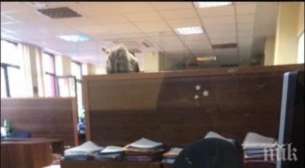 мвнр предупреждава крадете химикалките