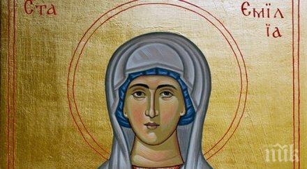 хубав празник няколко известни имена почерпят