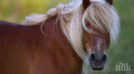 инцидент понита раниха трима време парад съединените щати