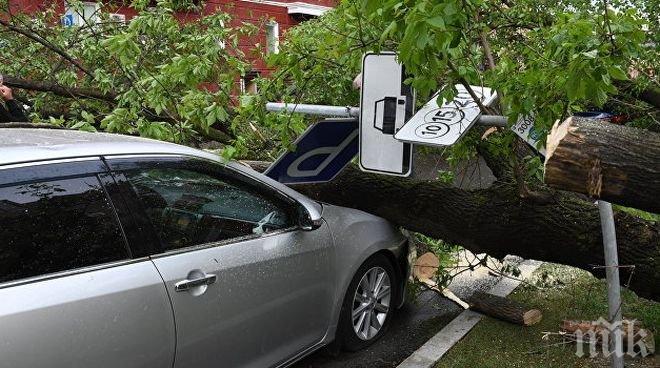 На тъмно! Ураганът в Централна Русия остави без ток над 30 000 души
