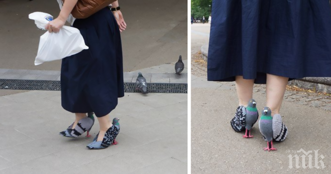 Хората се ужасяват, виждайки тази жена, която се разхожда с гълъбови обувки!