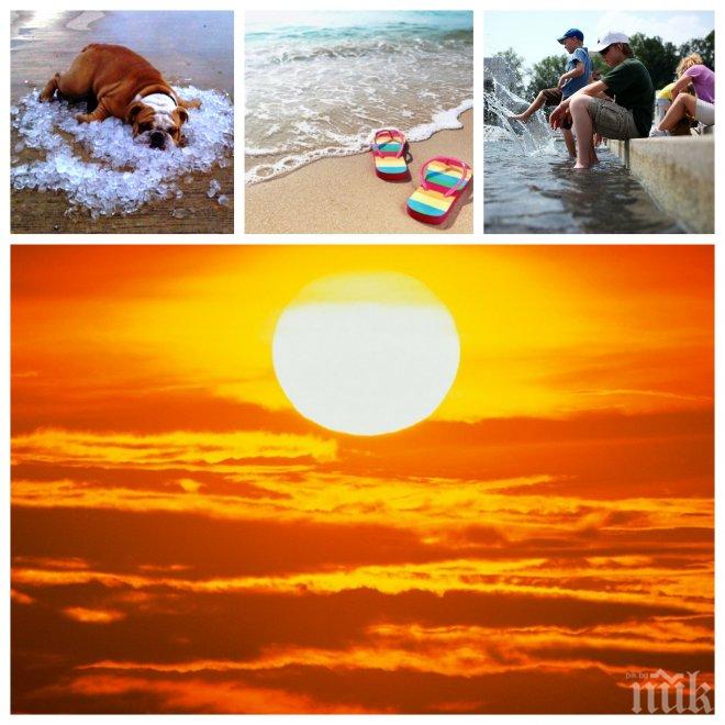 БОМБА В ЕФИР! Шок с времето! Юли идва до дни - страшни жеги до 22 юни