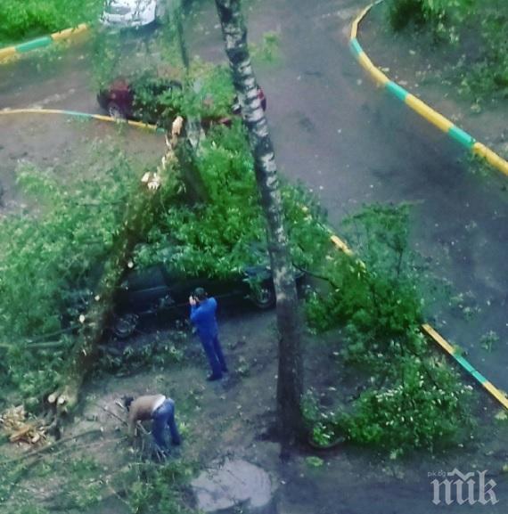 ЕКСКЛУЗИВНО В ПИК! Адска стихия в Москва! Ураганът уби деветима, рани над 70, премиерът Медведев е блокиран в резиденцията си (ВИДЕО)