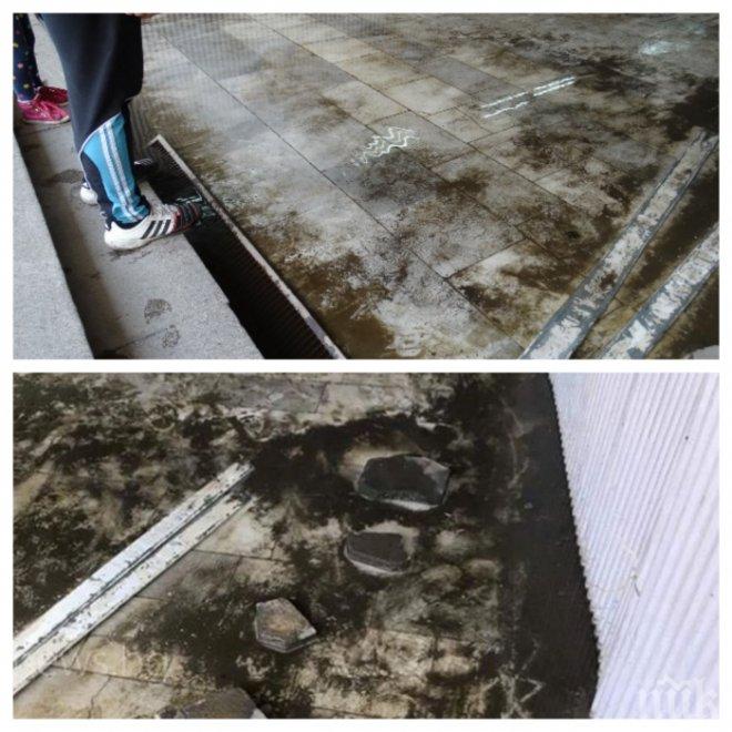 ОПАСЕН ПОДЛЕЗ В ПЛОВДИВ: Жена се подхлъзна в локва и едва не се преби