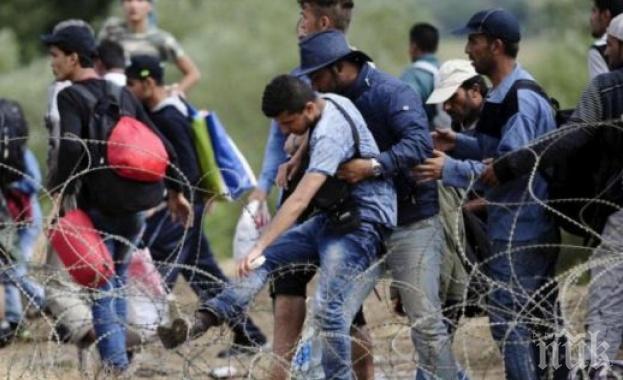 Спряха 17 незаконни мигранти на границата с Турция, пътували във влак за Сърбия