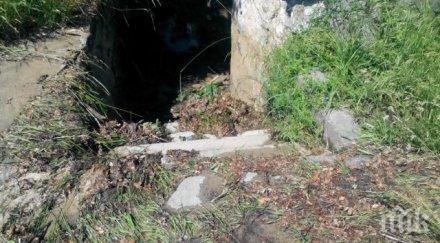 порой помете част калофер снимки