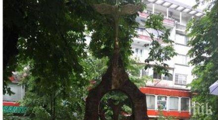 паметник благодарността откриха признателните арменци шумен