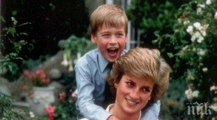 принцовете уилям хари участват филми лейди даяна искат защитят името