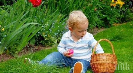 започва кампанията затревяване 100 дка кални точки софия