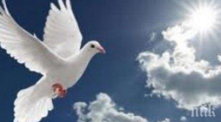 почитаме светия животворящ дух