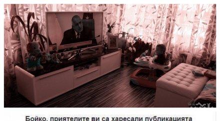 пиар премиера кротко фукните лайкове магнолии бебчета проходилки