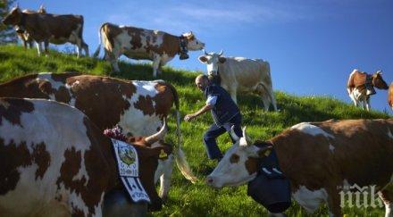 секира глобяват туристи снимат швейцарско село