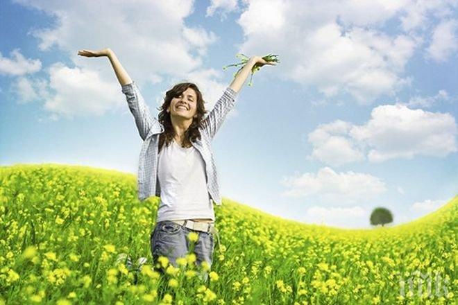 Златни правила за успешен живот 