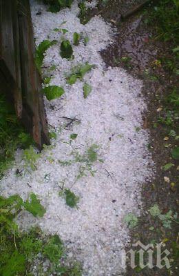 НЕВИЖДАНА СТИХИЯ! Леден дъжд и град удариха селата в Ардинско (ВИДЕО)