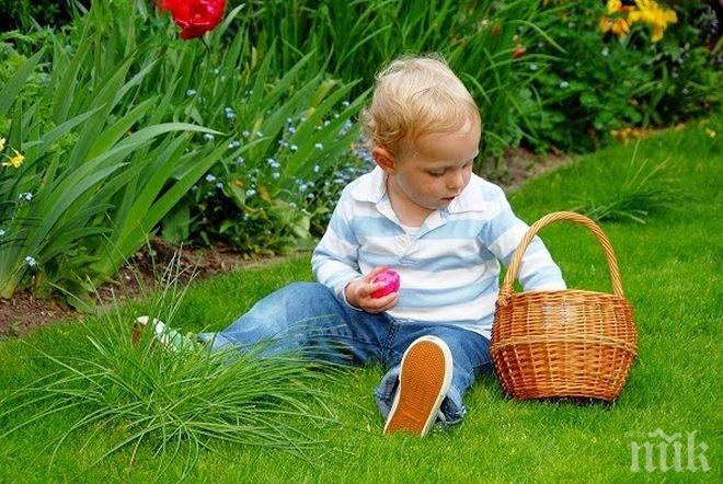 Започва кампанията по затревяване на 100 дка „кални точки“ в София