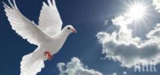 Почитаме Светия Животворящ дух