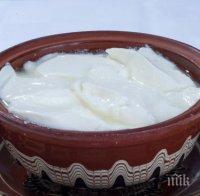 Искат промяна в стандарта за киселото мляко