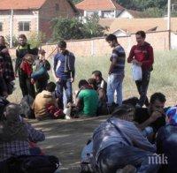 Мигранти се сбиха с охраната на център за настаняване в Дрезден 
