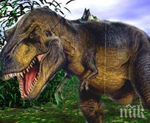 учени разкриха динозаврите клонират