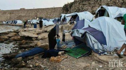 потрес плъхове фекалии бежански лагер гърция