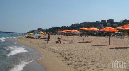 удавените овце варна дошли румъния