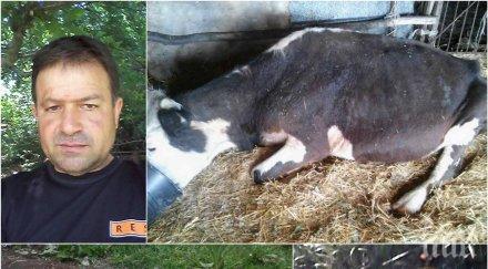 първо пик полицията бургас медията две досъдебни производства случая убития добитък несебър привлечен обвиняем работи
