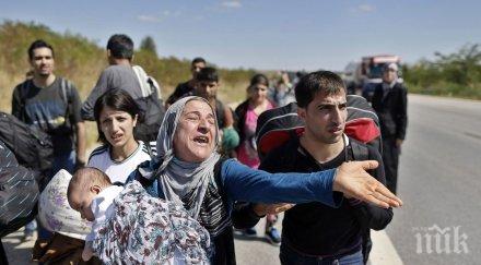 чехия спира приема мигранти